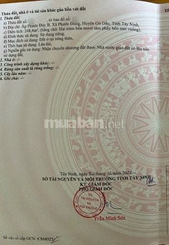 Cần tiền cuối năm bán lỗ mảnh đất 248m2 giá 699tr - ngay KCN Phước Đôn