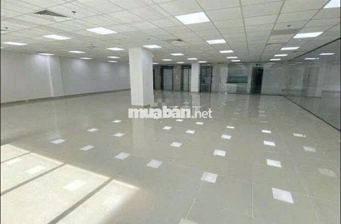 CHO THUÊ Tòa Nhà Mặt Tiền 103 Hòa Hưng, Phường 12, Quận 10