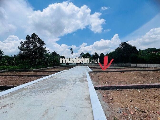 Chính chủ bá gấp 76.5m2 Sen Trì, Bình Yên. Cách TL420 chỉ 300m.