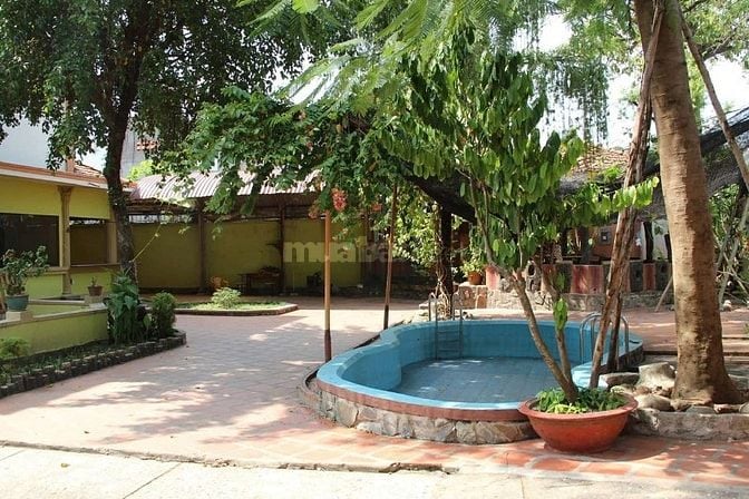 Bán Gấp Biệt Thự sân vườn :Đường Thống Nhất, P11, Quận Gò Vấp, Tp.HCM