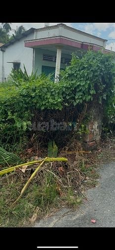 ngang 7 dai 31, full thổ cư, 2 mặt tiền, đường phạm thị trích