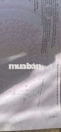 5 x 33. Sẵn thổ cư Hẻm Lý Thái Tổ P : Diên Hồng đường rộng 6m