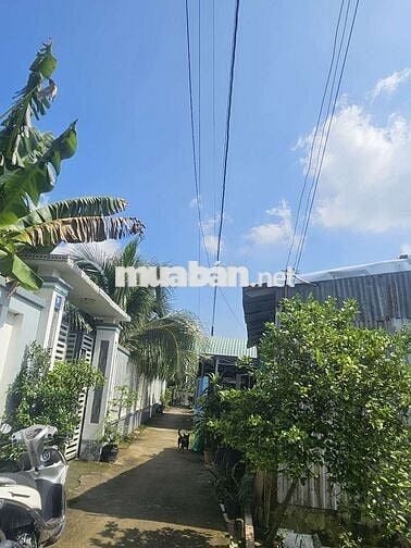 Đất nền đẹp Mỹ Phú, Mỹ Phong, Mỹ Tho(chính chủ)