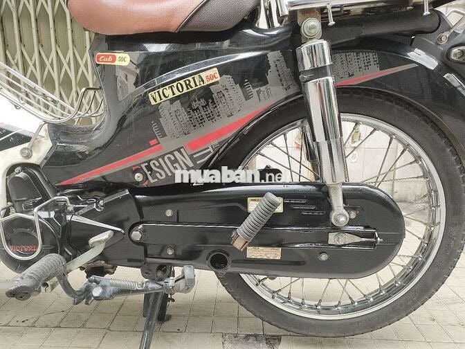 xe cub50 cho học sinh bstp