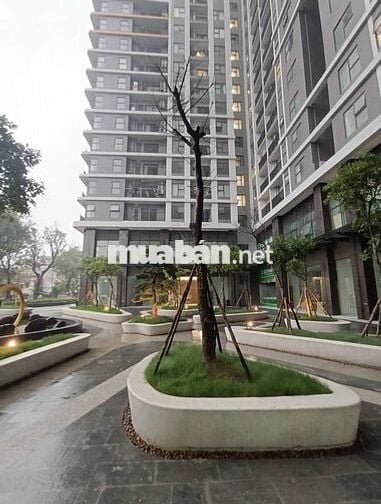 Shophouse kinh doanh cho thuê ổn định sở hữu lâu dài