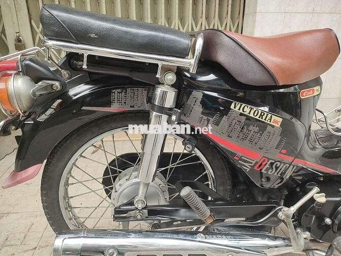 xe cub50 cho học sinh bstp