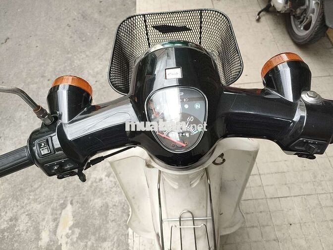 xe cub50 cho học sinh bstp