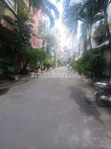 Bán Nhà : hẻm 6m Trương Công Định P.Tân Bình ( P.14 củ ) - dt:4x14m 3L