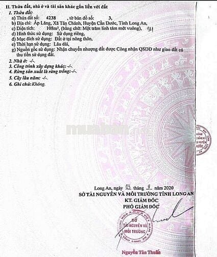 bán 5 sổ đất thổ cư gần chợ Tân cảnh , cần đước LA