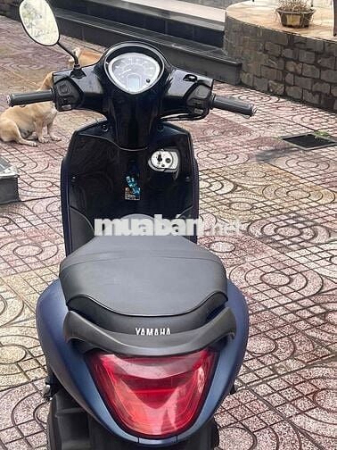 Bán xe Janus ,Bstp đời 2017, xe đẹp gtdd