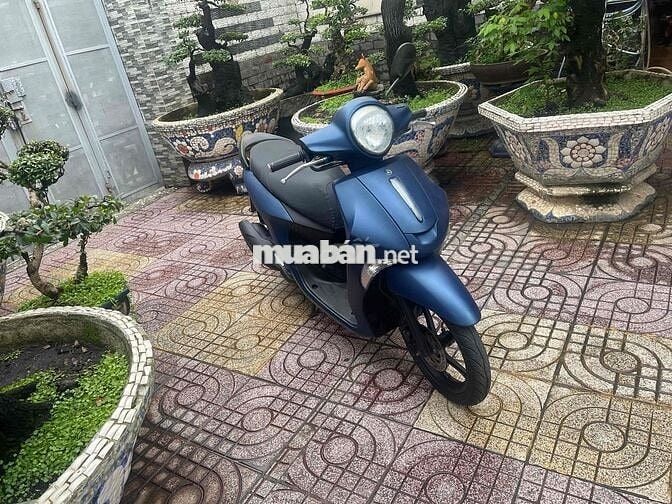 Bán xe Janus ,Bstp đời 2017, xe đẹp gtdd