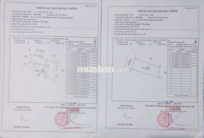 🌿  CHÍNH CHỦ CẦN TÌM CÒ HỢP TÁC BÁN ĐẤT TẠI HÒA HỘI – XUYÊN MỘC 🌿