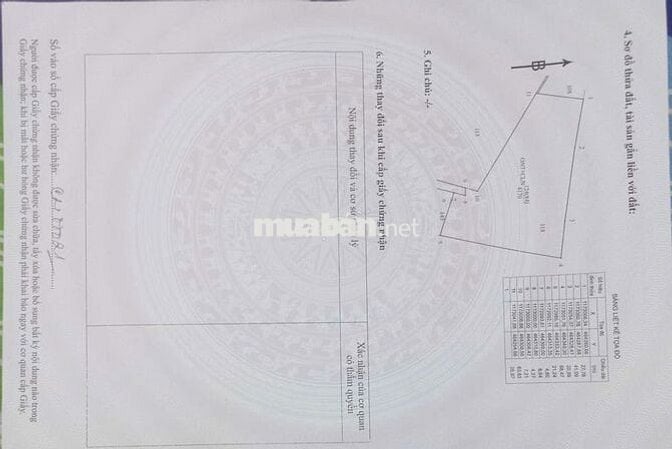 🌿  CHÍNH CHỦ CẦN TÌM CÒ HỢP TÁC BÁN ĐẤT TẠI HÒA HỘI – XUYÊN MỘC 🌿