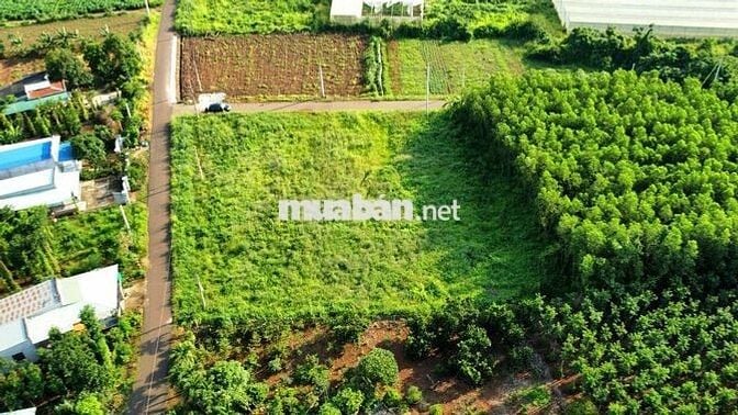 🔥 Đất thổ cư 160m² TT Ấp gần KCN Xuân Quế – Sông Nhạn, giá chỉ 670 TR