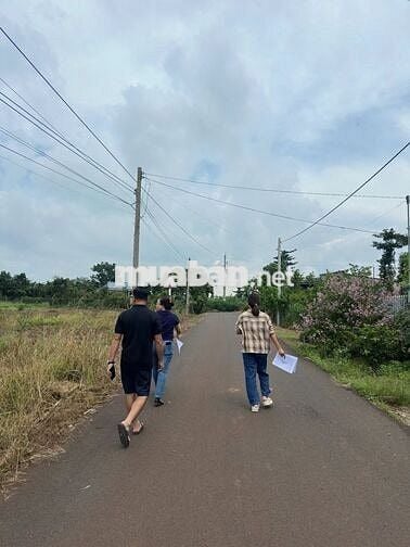 🔥 Đất thổ cư 160m² TT Ấp gần KCN Xuân Quế – Sông Nhạn, giá chỉ 670 TR