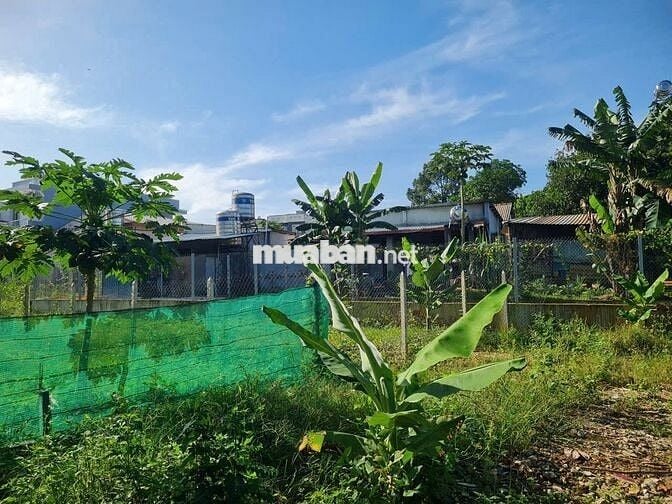 Đất đẹp giá rẻ -  chính chủ Thủ Dầu Một