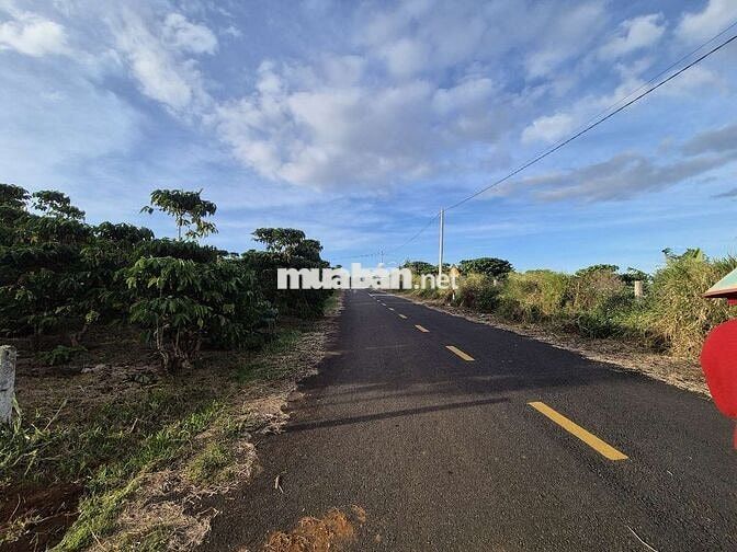 View đẹp giá rẻ chỉ có ở Bảo Lộc