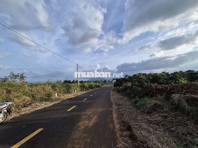 View đẹp giá rẻ chỉ có ở Bảo Lộc