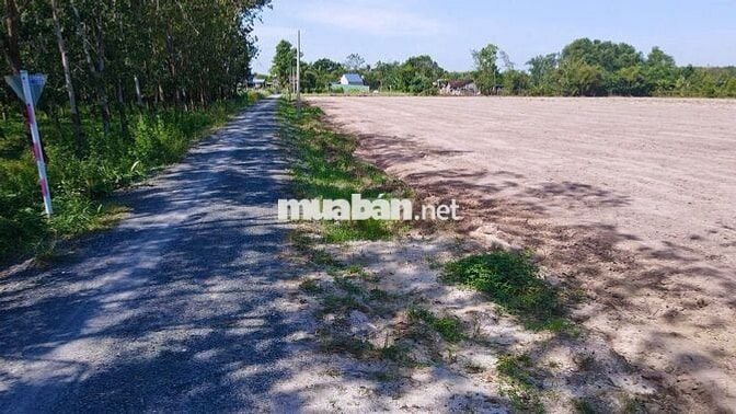 Lô góc full thổ 157m2 ngay KCN Phước Đông, DC hữu, sổ riêng, giá 900tr