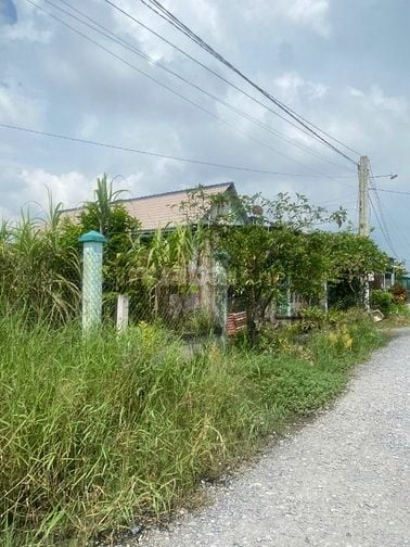 đất MT gần chợ gò đen bến lức full thổ 5x23m giá chỉ 13tr/m2