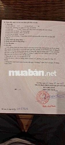 🏡 Đất hẻm xe hơi Thống Nhất p16 Giá 7,05 tỷ