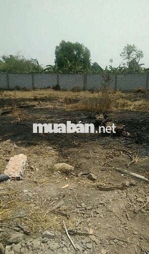 Ngộp bank bán gấp 2 MT Đặng Thị Thưa, Củ Chi, 45x30, nhỉnh 10 tỷ