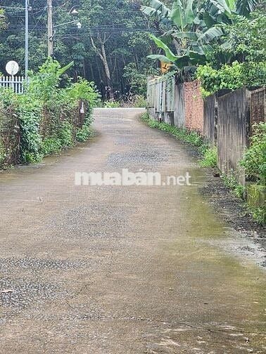 Cần bán đât nhà tại An Viễn, Trảng Bom. Đồng Nai