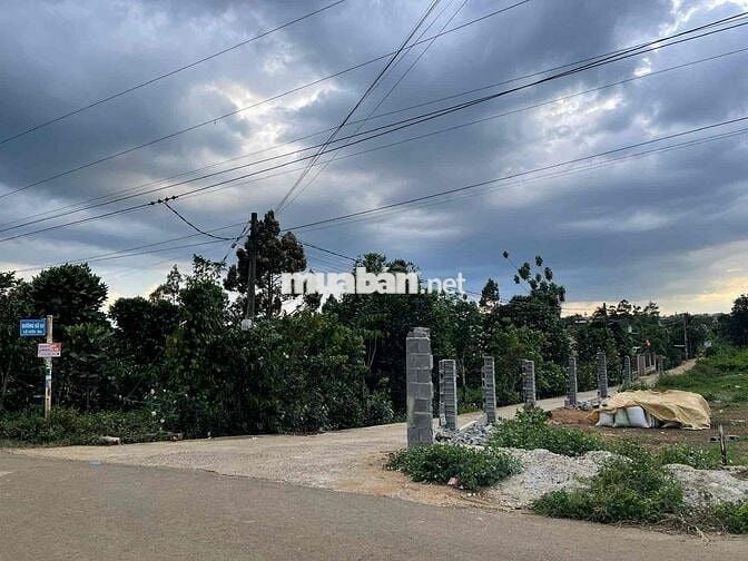 Đất thổ cư Bảo Lộc, Lâm Đồng - Dân cư đông, tiện ích - 107m2 - 998tr