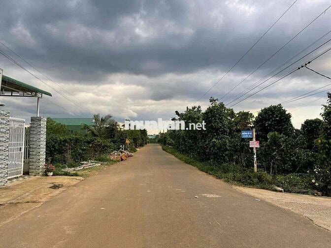 Đất thổ cư Bảo Lộc, Lâm Đồng - Dân cư đông, tiện ích - 107m2 - 998tr