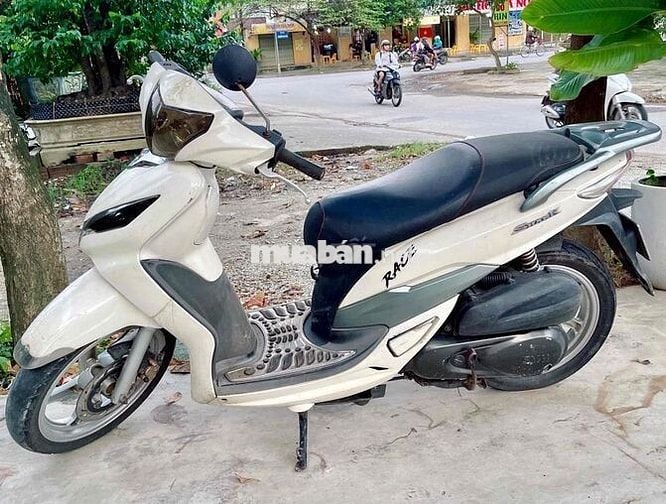 SYM Shark màu Trắng