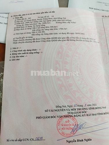 Đất mặt tiền đường nhựa có thổ cư sẵn 300m giá 2.5tr/m2 ở Trảng Bom