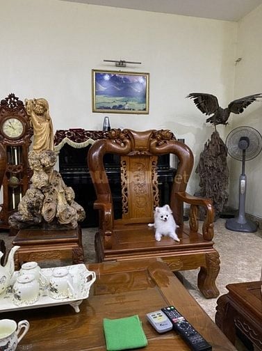 Ngõ 79 An Dương Vương – Tây Hồ - ÔTô – 85 M – 4 T – MT 6 M – Giá 18.3T