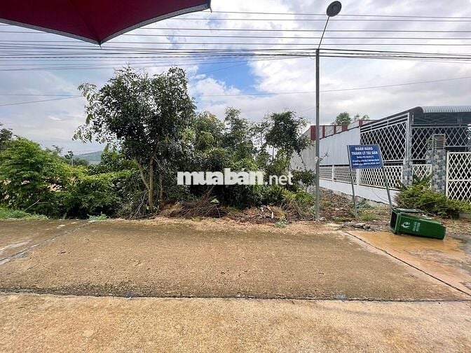 NH thanh lý lô đất 493,6m2 tại Đồng Nai