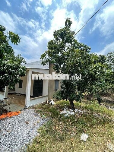 HẠ GIÁ - CẦN BÁN 7 SÀO 1 ĐẤT VƯỜN - CÓ NHÀ