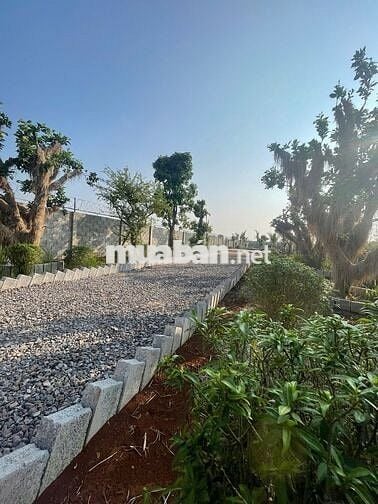 Cần bán 1010m2 đất - đã xây hàng rào kiên cố