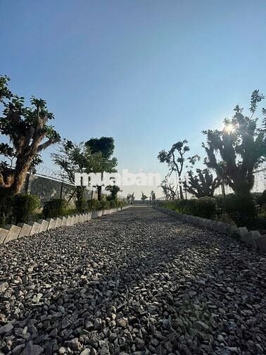 Cần bán 1010m2 đất - đã xây hàng rào kiên cố