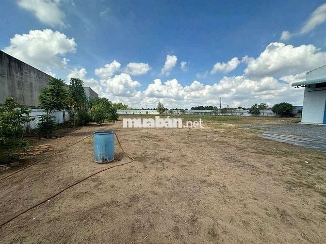 CHO THUÊ BÃI 1250M GIÁ 25K/MÉT