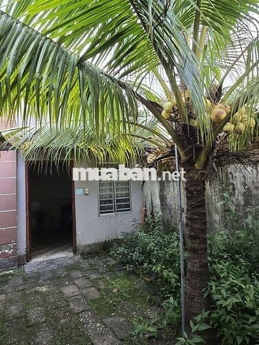 Cho thuê nhà nghỉ phường Định Hòa. 24 phòng. Giá 30tr/ tháng