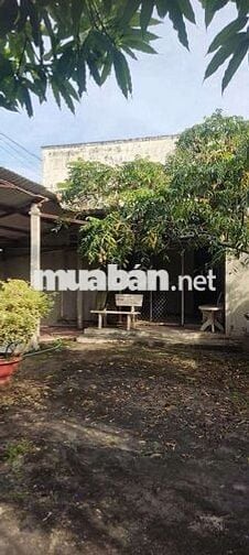 Nhà hẻm 73 đường Phú lợi anh chị em cần alo sdt ***