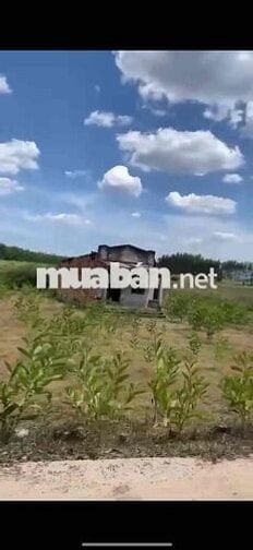 Hạ giá 1tỷ , Giá mới 5tỷ Chính chủ cần bán đất xã suối kiết, huyện tán