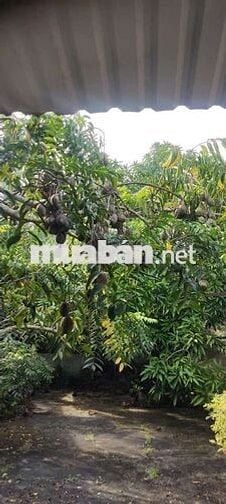 Nhà hẻm 73 đường Phú lợi anh chị em cần alo sdt ***