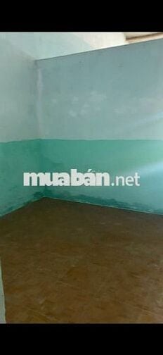 - Cho thuê nhà nguyên căn nhà ở cấp 4