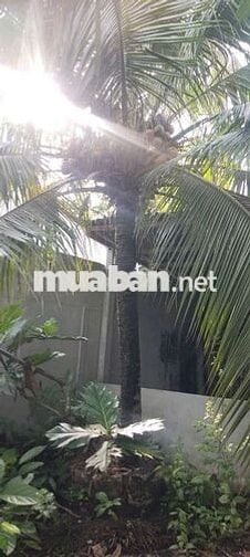 Nhà hẻm 73 đường Phú lợi anh chị em cần alo sdt ***