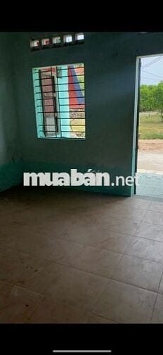 - Cho thuê nhà nguyên căn nhà ở cấp 4