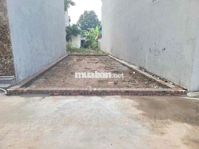 🔥SIÊU PHẨM TỔ 10 QUANG MINH 53M2, ĐƯỜNG THÔNG 2 Ô TÔ TRÁNH GIÁ CHỈ 3,1