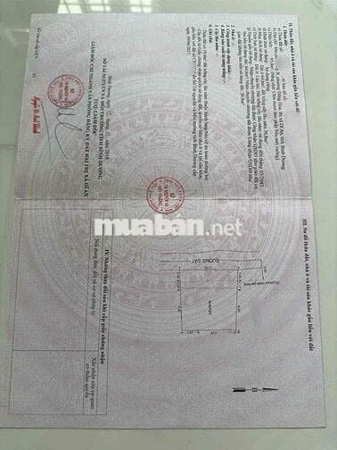 Đất tặng nhà gần chợ Dĩ An 1,Đông Hoà, TP Dĩ An