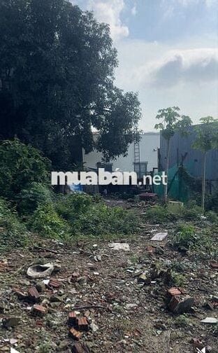 ✅Bán lô đất 100m sạch đẹp ngang 8m10 nở hậu,Làm được 2 cái nhà.