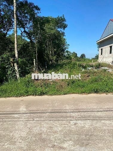 🔥 Bán lô đất mặt tiền Vũ Ngọc Phan -KHÔNG NGẬP LỤT– Giá siêu tốt!