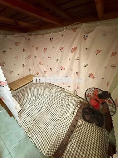 Phòng trọ giường tầng riêng tư 1tr3/1ng