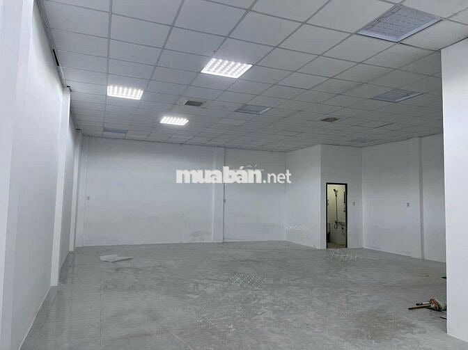 Mặt Tiền Đường Hồng Lạc Ngay Ngã Tư Đối Diện Chung Cư Bàu Cát